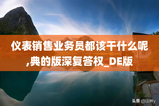 仪表销售业务员都该干什么呢,典的版深复答权_DE版