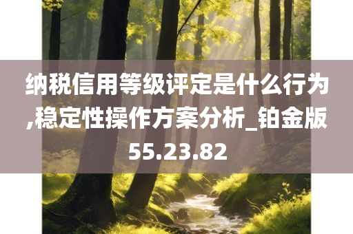 纳税信用等级评定是什么行为,稳定性操作方案分析_铂金版55.23.82