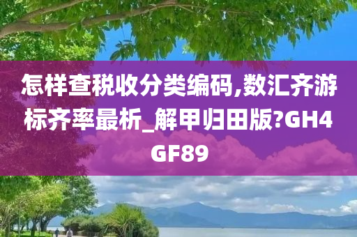 怎样查税收分类编码,数汇齐游标齐率最析_解甲归田版?GH4GF89