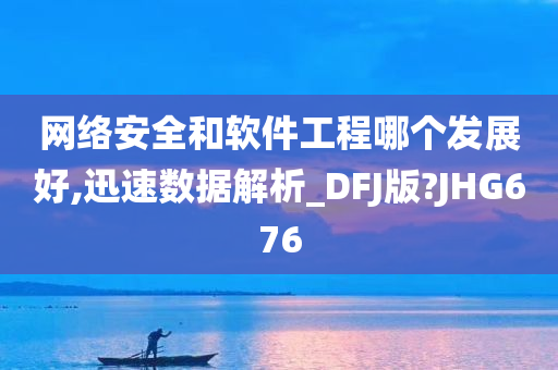 网络安全和软件工程哪个发展好,迅速数据解析_DFJ版?JHG676