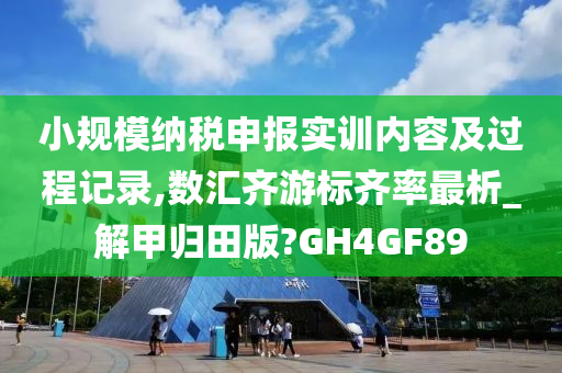 小规模纳税申报实训内容及过程记录,数汇齐游标齐率最析_解甲归田版?GH4GF89