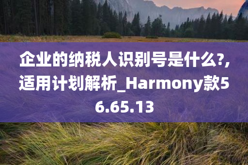 企业的纳税人识别号是什么?,适用计划解析_Harmony款56.65.13