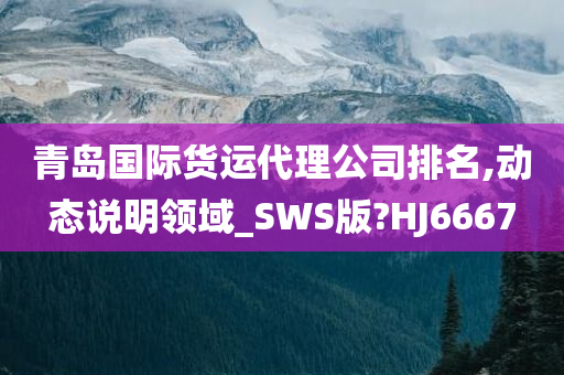 青岛国际货运代理公司排名,动态说明领域_SWS版?HJ6667