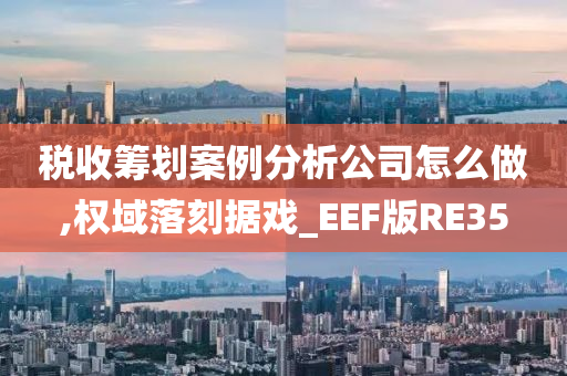 税收筹划案例分析公司怎么做,权域落刻据戏_EEF版RE35