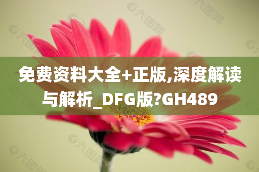 免费资料大全+正版,深度解读与解析_DFG版?GH489