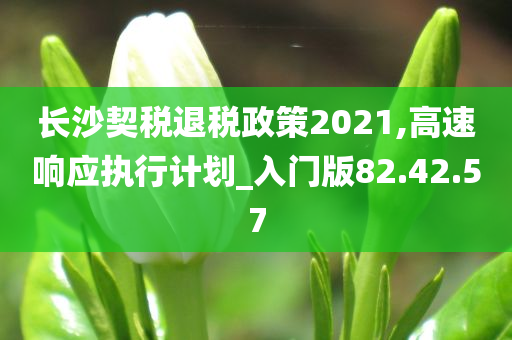 长沙契税退税政策2021,高速响应执行计划_入门版82.42.57