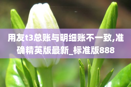 用友t3总账与明细账不一致,准确精英版最新_标准版888