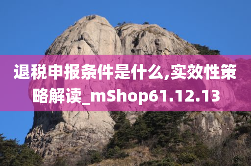 退税申报条件是什么,实效性策略解读_mShop61.12.13