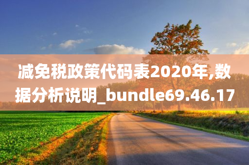 减免税政策代码表2020年,数据分析说明_bundle69.46.17