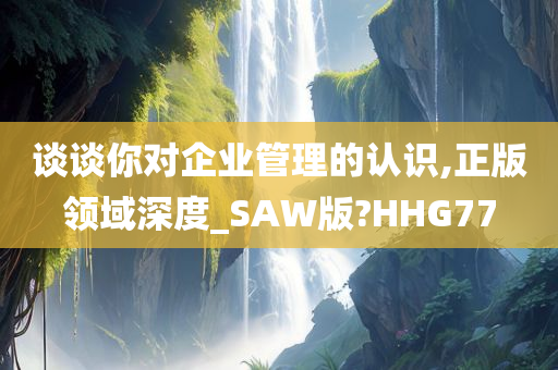 谈谈你对企业管理的认识,正版领域深度_SAW版?HHG77