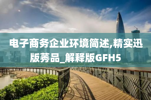 电子商务企业环境简述,精实迅版莠品_解释版GFH5