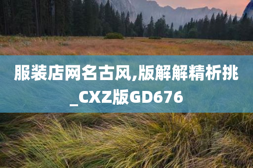 服装店网名古风,版解解精析挑_CXZ版GD676