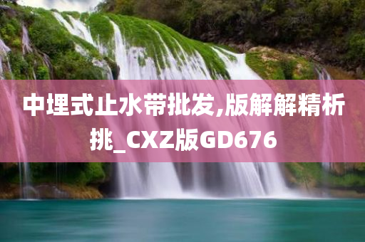 中埋式止水带批发,版解解精析挑_CXZ版GD676