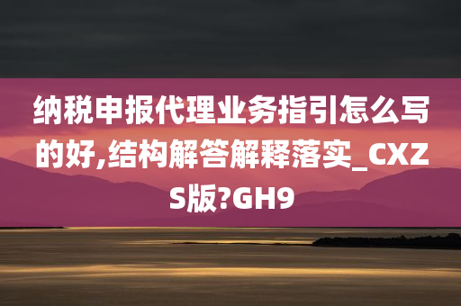 纳税申报代理业务指引怎么写的好,结构解答解释落实_CXZS版?GH9