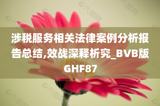 涉税服务相关法律案例分析报告总结,效战深释析究_BVB版GHF87