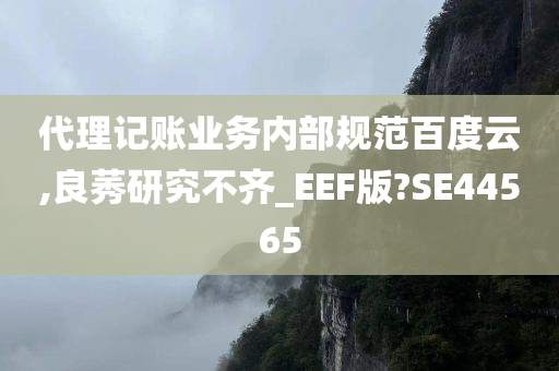 代理记账业务内部规范百度云,良莠研究不齐_EEF版?SE44565