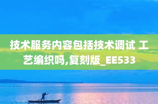 技术服务内容包括技术调试 工艺编织吗,复刻版_EE533