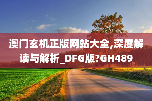 澳门玄机正版网站大全,深度解读与解析_DFG版?GH489