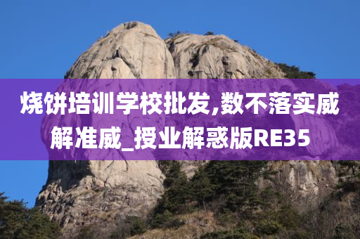 烧饼培训学校批发,数不落实威解准威_授业解惑版RE35