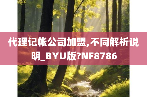 代理记帐公司加盟,不同解析说明_BYU版?NF8786