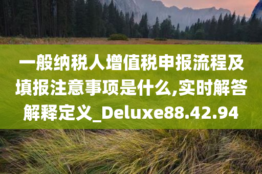 一般纳税人增值税申报流程及填报注意事项是什么,实时解答解释定义_Deluxe88.42.94