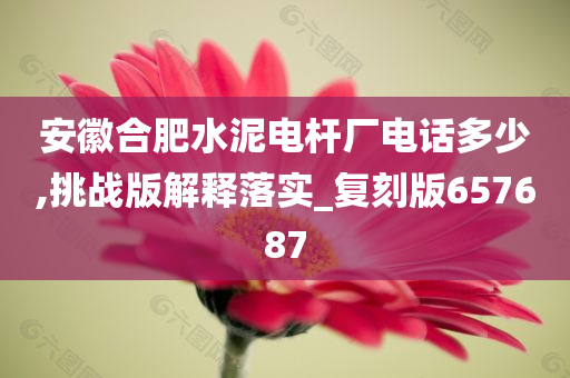 安徽合肥水泥电杆厂电话多少,挑战版解释落实_复刻版657687