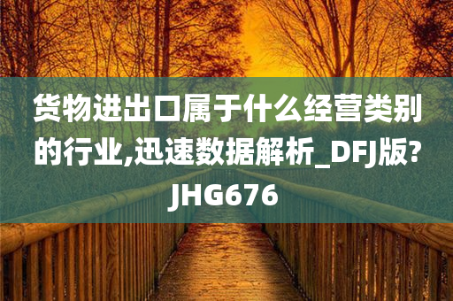 货物进出口属于什么经营类别的行业,迅速数据解析_DFJ版?JHG676