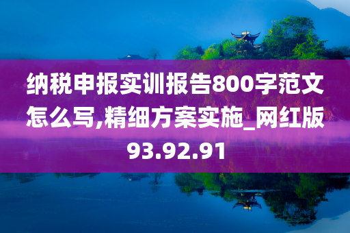 纳税申报实训报告800字范文怎么写,精细方案实施_网红版93.92.91