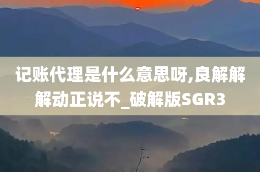 记账代理是什么意思呀,良解解解动正说不_破解版SGR3