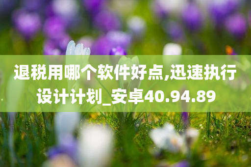 退税用哪个软件好点,迅速执行设计计划_安卓40.94.89