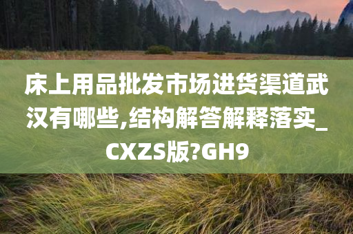 床上用品批发市场进货渠道武汉有哪些,结构解答解释落实_CXZS版?GH9