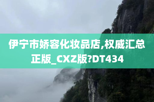 伊宁市娇容化妆品店,权威汇总正版_CXZ版?DT434