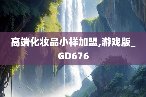 高端化妆品小样加盟,游戏版_GD676