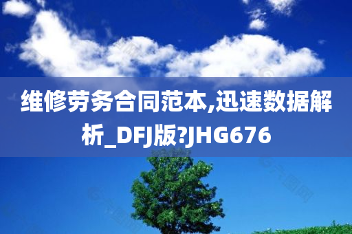 维修劳务合同范本,迅速数据解析_DFJ版?JHG676