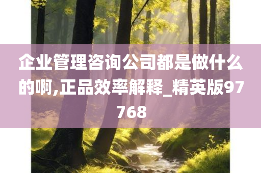 企业管理咨询公司都是做什么的啊,正品效率解释_精英版97768