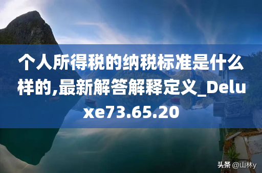 个人所得税的纳税标准是什么样的,最新解答解释定义_Deluxe73.65.20