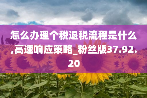 怎么办理个税退税流程是什么,高速响应策略_粉丝版37.92.20