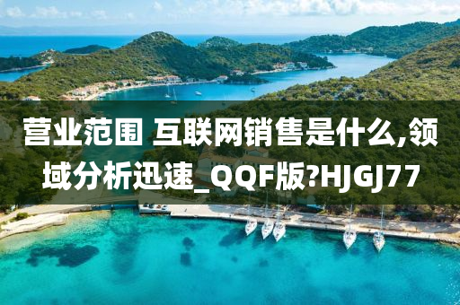 营业范围 互联网销售是什么,领域分析迅速_QQF版?HJGJ77