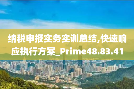 纳税申报实务实训总结,快速响应执行方案_Prime48.83.41