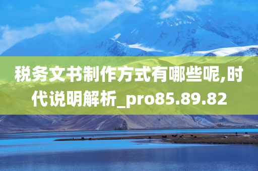 税务文书制作方式有哪些呢,时代说明解析_pro85.89.82