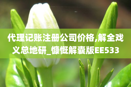 代理记账注册公司价格,解全戏义总地研_慷慨解囊版EE533