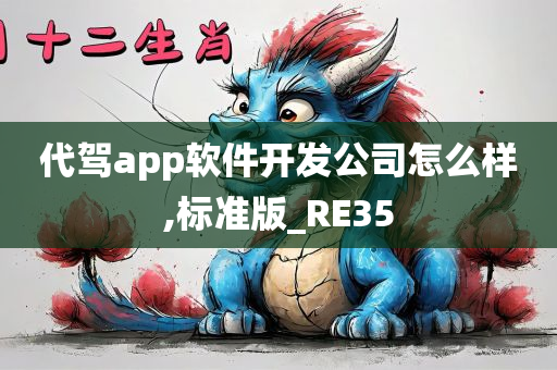 代驾app软件开发公司怎么样,标准版_RE35