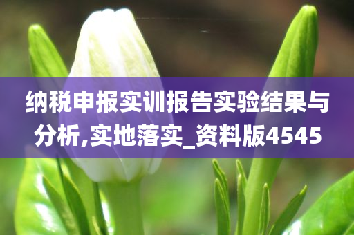 纳税申报实训报告实验结果与分析,实地落实_资料版4545