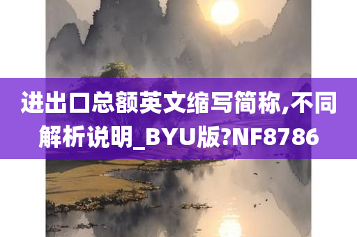 进出口总额英文缩写简称,不同解析说明_BYU版?NF8786