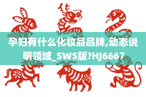 孕妇有什么化妆品品牌,动态说明领域_SWS版?HJ6667