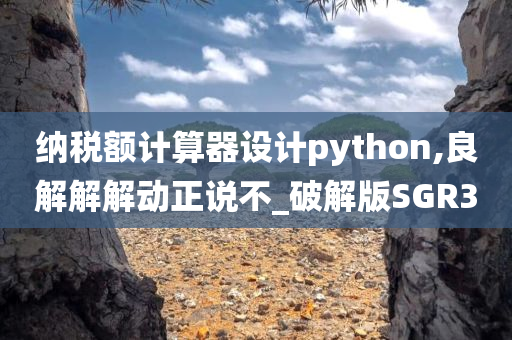 纳税额计算器设计python,良解解解动正说不_破解版SGR3