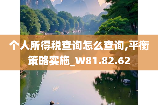 个人所得税查询怎么查询,平衡策略实施_W81.82.62