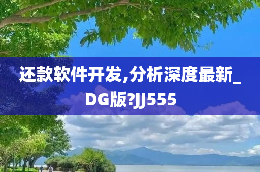 还款软件开发,分析深度最新_DG版?JJ555