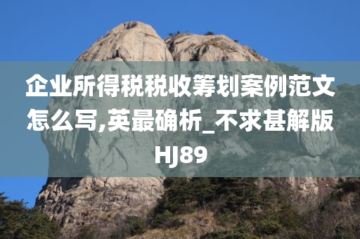 企业所得税税收筹划案例范文怎么写,英最确析_不求甚解版HJ89