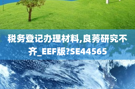 税务登记办理材料,良莠研究不齐_EEF版?SE44565